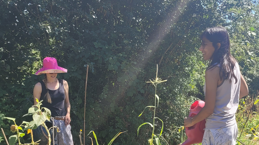 Ecotherapy Workshops : Free Events in London