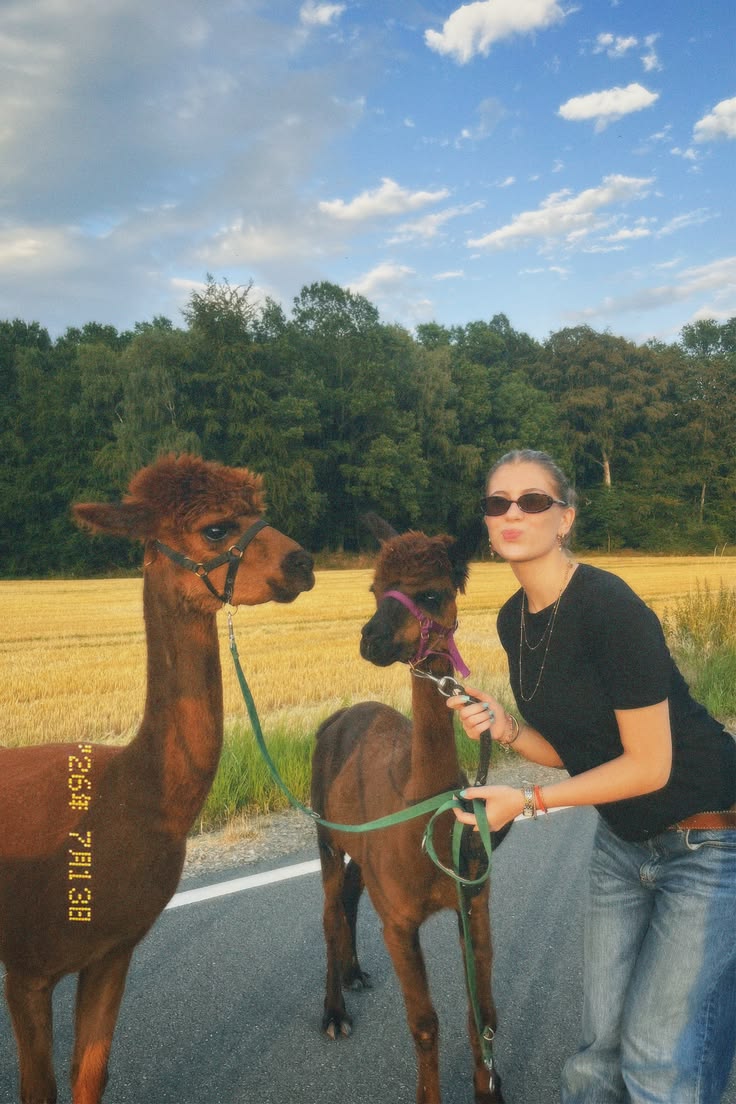 Stoke Lonely Girls Club Alpaca Walk