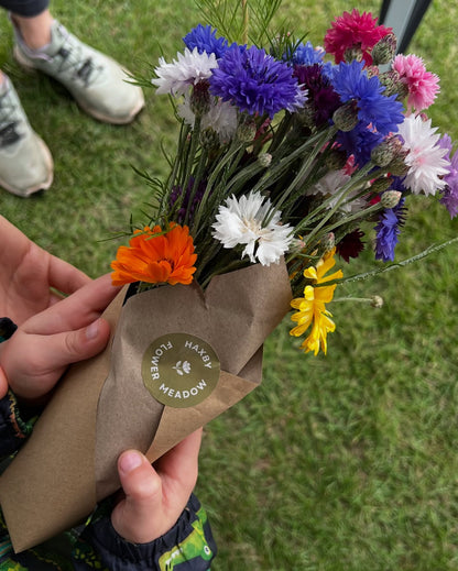 York Lonely Girls Club Haxby Flower Meadow Trip