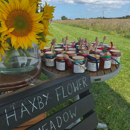 York Lonely Girls Club Haxby Flower Meadow Trip