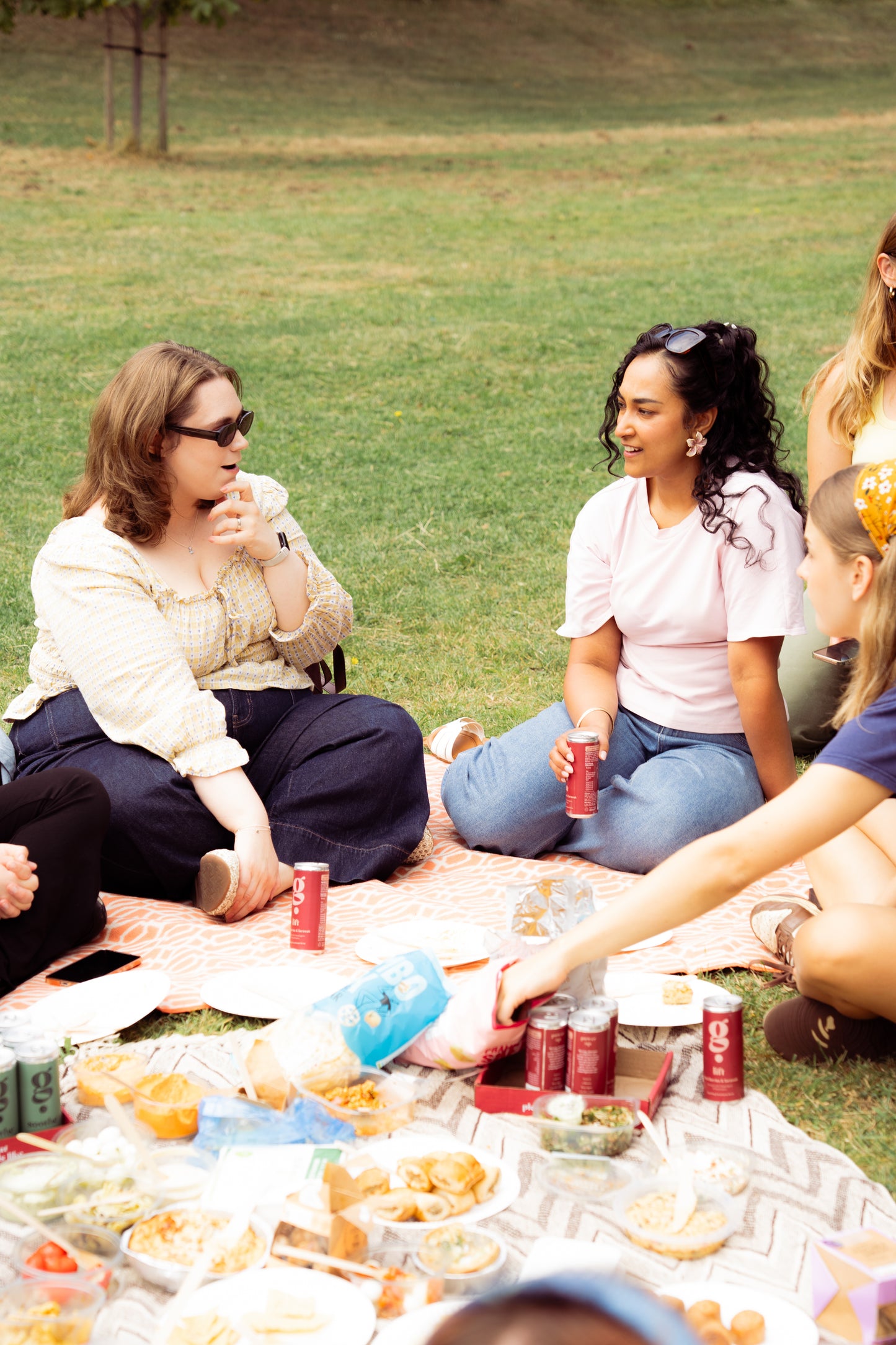 Manchester Lonely Girls Club September Picnic