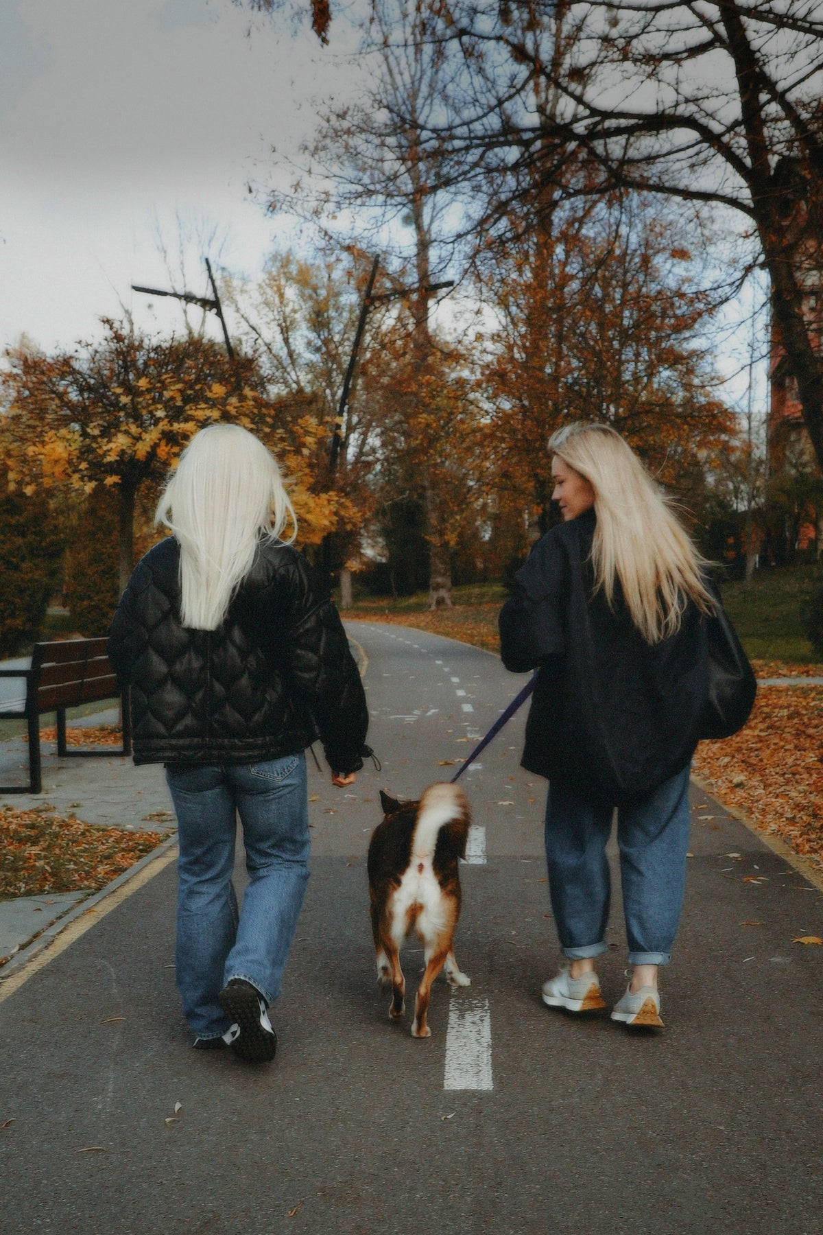 Nottingham Lonely Girls Walk Club with Nightwalkies