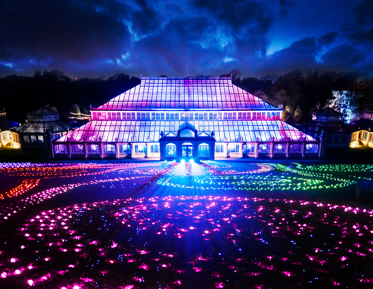 Lonely Girls Club Festive Girls Night to Christmas at Kew
