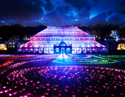 Lonely Girls Club Festive Girls Night to Christmas at Kew