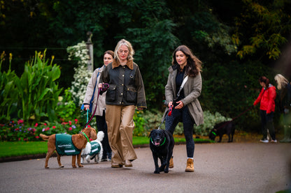 London Lonely Girls December Walk Club with NightWalkies